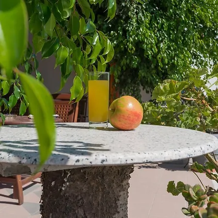 μαργαρίτα 3*