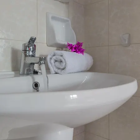 Πανσιόν μαργαρίτα Καρτεράδος