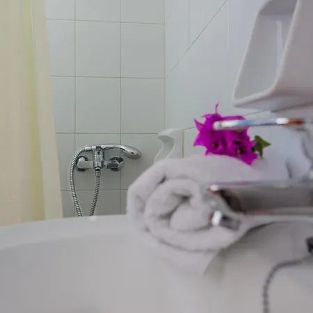 Πανσιόν μαργαρίτα